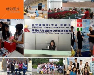 深圳市大智通国际货运代理